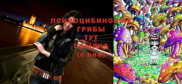 эйфоретик Сафоново