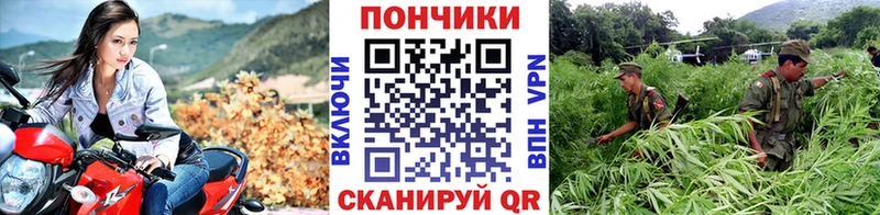 Марихуана план  Купить  Тюмень 